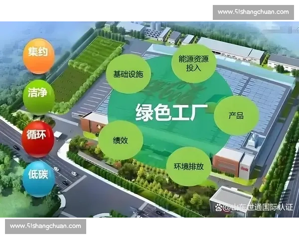 双碳目标引领下绿色转型与高质量发展路径创新战略实践探索研究进路